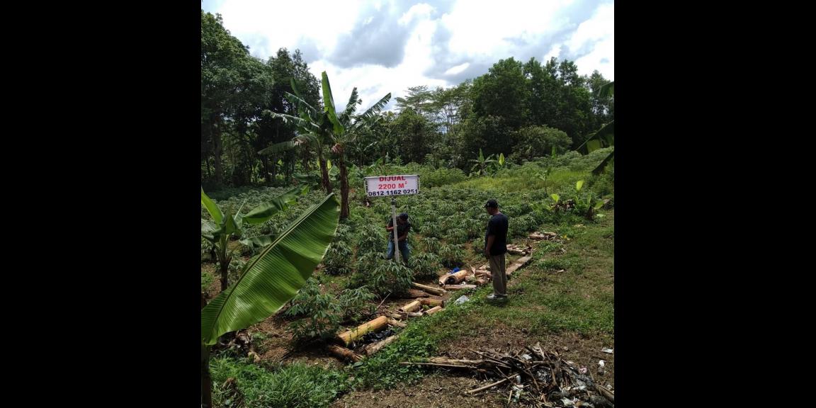 Jual Tanah Murah di Tenjo Bogor Dekat Kantor Desa Bojong dan Puskesmas Pasar Rebo Tenjo Bogor Jual Tanah Murah di Tenjo Bogor Dekat Kantor Desa Bojong dan Puskesmas Pasar Rebo Tenjo Bogor