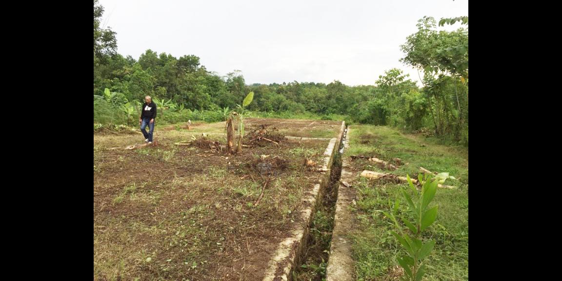 Jual Tanah Murah di Tenjo Bogor Dekat Kantor Desa Bojong dan Puskesmas Pasar Rebo Tenjo Bogor Jual Tanah Murah di Tenjo Bogor Dekat Kantor Desa Bojong dan Puskesmas Pasar Rebo Tenjo Bogor