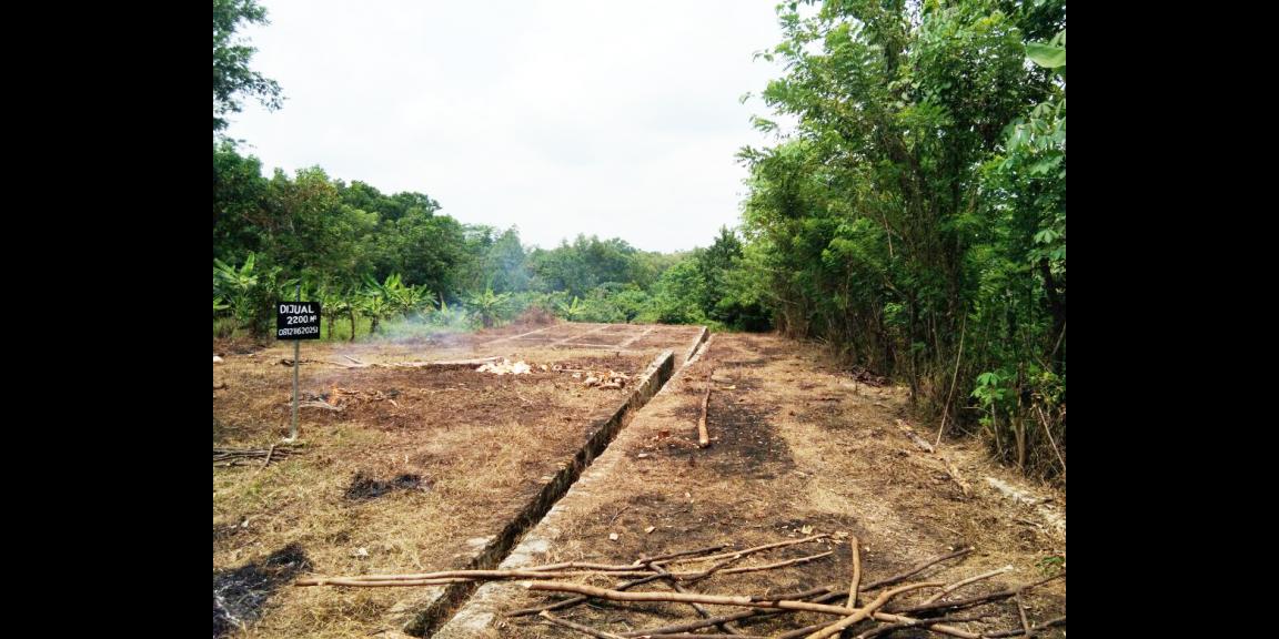 Jual Tanah Murah di Tenjo Bogor Dekat Kantor Desa Bojong dan Puskesmas Pasar Rebo Tenjo Bogor Jual Tanah Murah di Tenjo Bogor Dekat Kantor Desa Bojong dan Puskesmas Pasar Rebo Tenjo Bogor