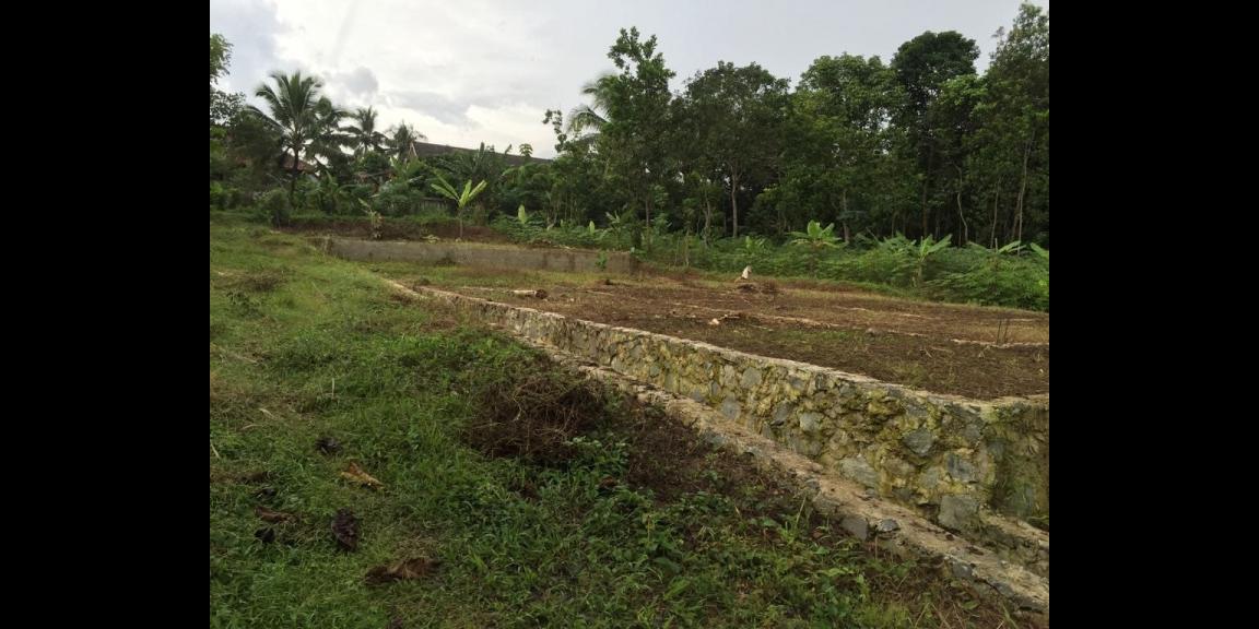 Jual Tanah Murah di Tenjo Bogor Dekat Kantor Desa Bojong dan Puskesmas Pasar Rebo Tenjo Bogor Jual Tanah Murah di Tenjo Bogor Dekat Kantor Desa Bojong dan Puskesmas Pasar Rebo Tenjo Bogor