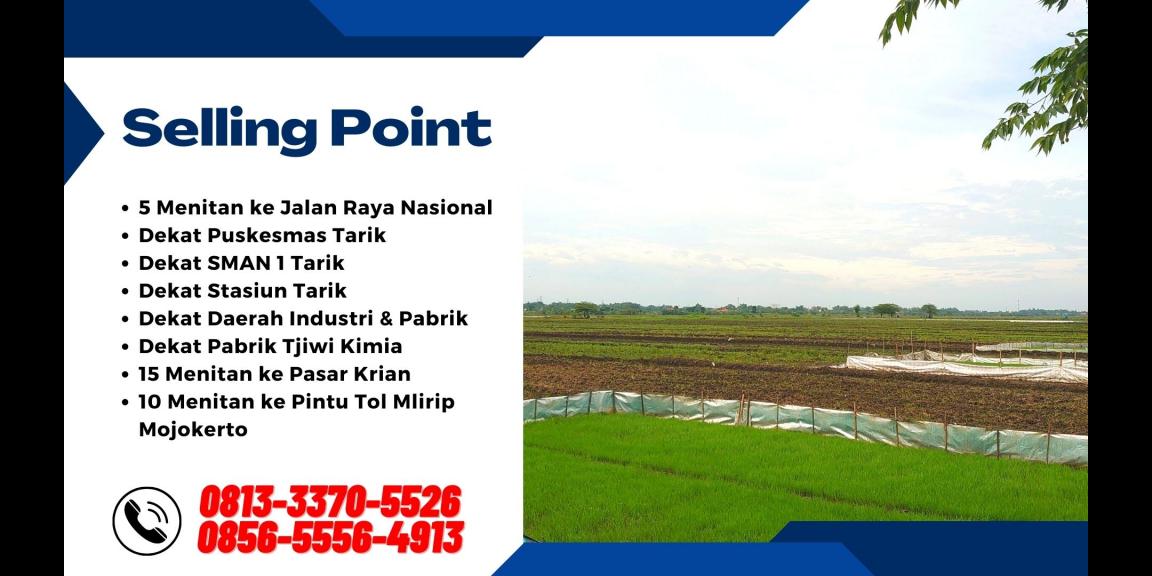 Tanah Dijual di Tarik Sidoarjo Lokasi Strategis Tanah Dijual di Tarik Sidoarjo Lokasi Strategis