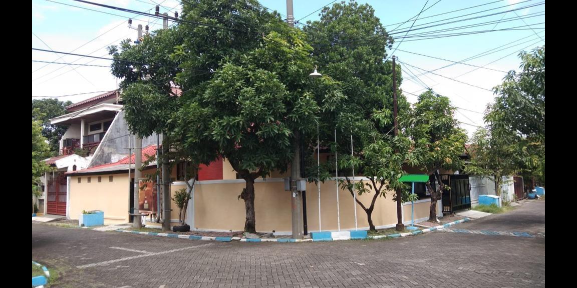 Disewakan Rumah nyaman , rapi dan sejuk - siap untuk di huni Disewakan Rumah nyaman , rapi dan sejuk - siap untuk di huni