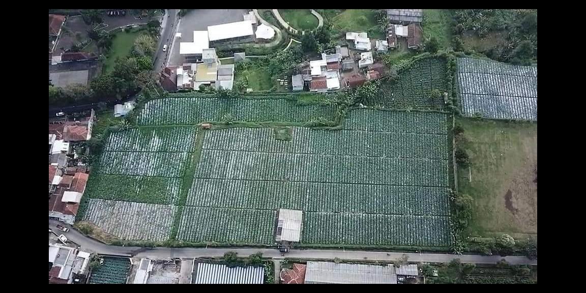 TANAH DI KAWASAN LEMBANG BANDUNG TANAH DI KAWASAN LEMBANG BANDUNG
