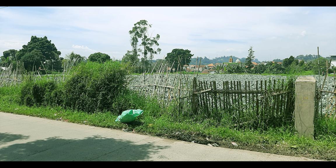 TANAH DI KAWASAN LEMBANG BANDUNG TANAH DI KAWASAN LEMBANG BANDUNG