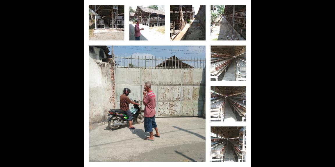 BU Mendesak, Dijual cepat kandang ayam Di Ponggok Kab. Blita BU Mendesak, Dijual cepat kandang ayam Di Ponggok Kab. Blita