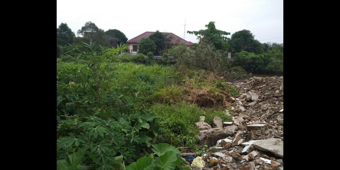 Dijual cepat tanah di Jalan Stella IVA Komplek Kejaksaan Dijual cepat tanah di Jalan Stella IVA Komplek Kejaksaan