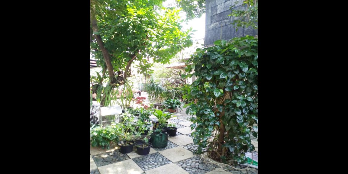 Kost Pondok Orange Jl. Kebagusan 1 Dekat Jl. TB Simatupang, Arcadia, Nestle, Officepark 18 Kost Pondok Orange Jl. Kebagusan 1 Dekat Jl. TB Simatupang, Arcadia, Nestle, Officepark 18