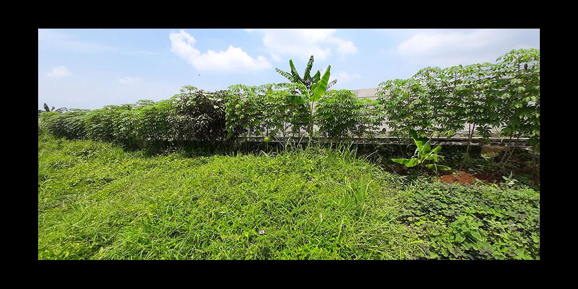 TANAH MATANG ARCAMANIK BANDUNG TANAH MATANG ARCAMANIK BANDUNG