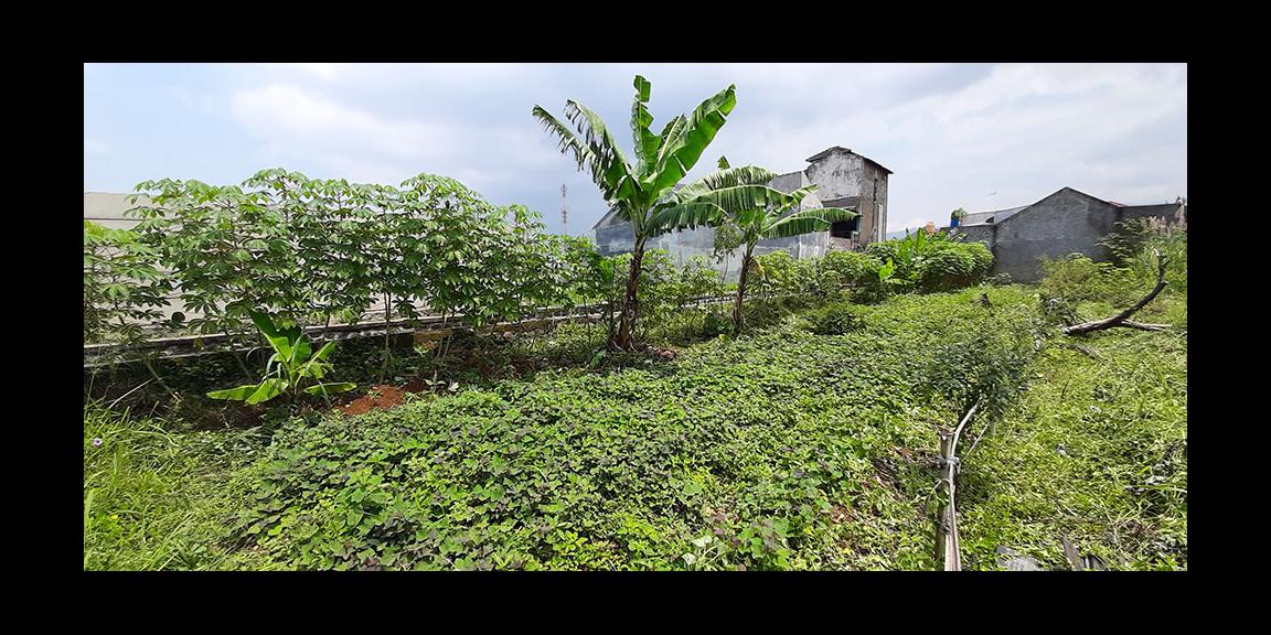 TANAH MATANG ARCAMANIK BANDUNG TANAH MATANG ARCAMANIK BANDUNG