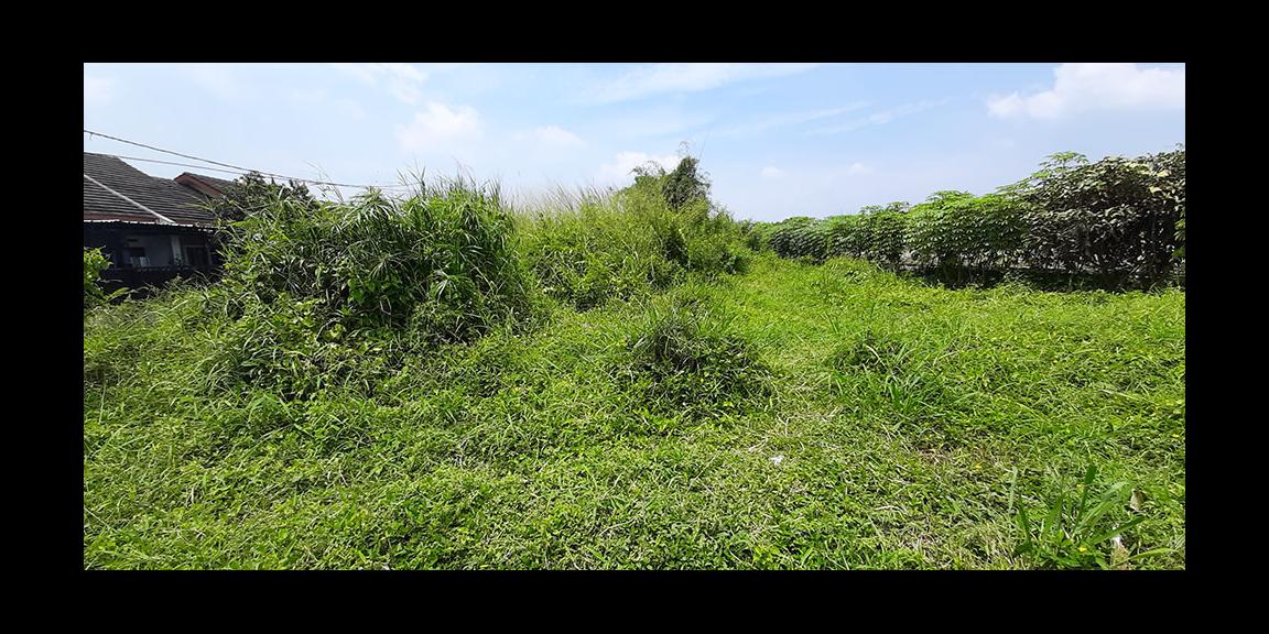 TANAH MATANG ARCAMANIK BANDUNG TANAH MATANG ARCAMANIK BANDUNG