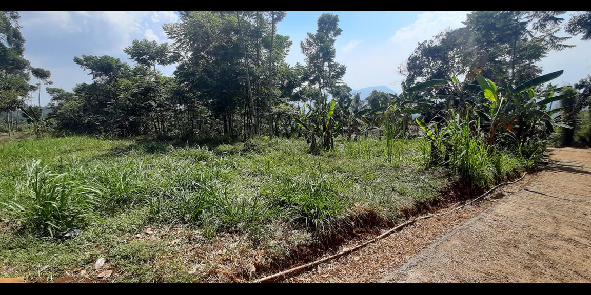 TANAH DI TANJUNGSARI SUMEDANG TANAH DI TANJUNGSARI SUMEDANG