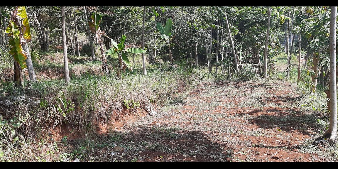 TANAH DI TANJUNGSARI SUMEDANG TANAH DI TANJUNGSARI SUMEDANG