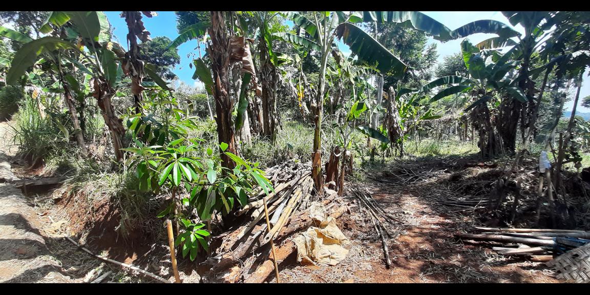 TANAH DI TANJUNGSARI SUMEDANG TANAH DI TANJUNGSARI SUMEDANG