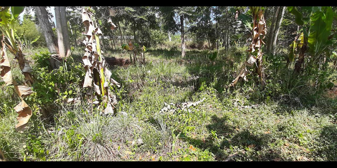 TANAH DI TANJUNGSARI SUMEDANG TANAH DI TANJUNGSARI SUMEDANG