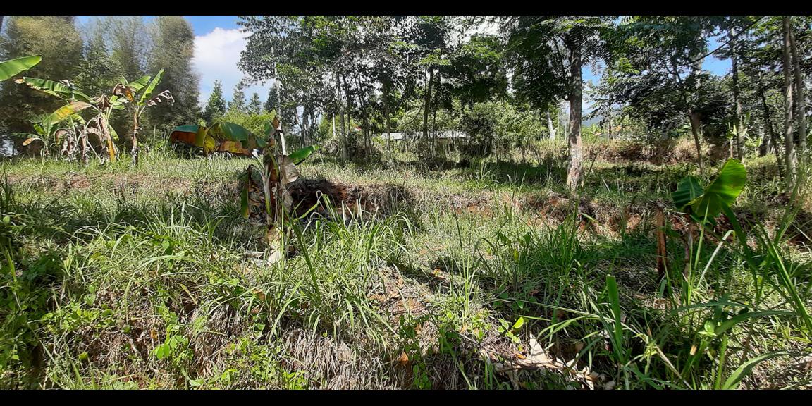 TANAH DI TANJUNGSARI SUMEDANG TANAH DI TANJUNGSARI SUMEDANG