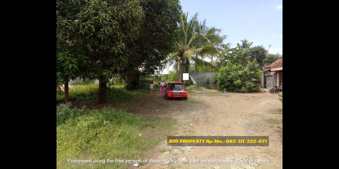 Termurah Dijual Tanah di Natar Lampung Selatan Luas 2 Ha Cocok Buat Pergudangan Termurah Dijual Tanah di Natar Lampung Selatan Luas 2 Ha Cocok Buat Pergudangan