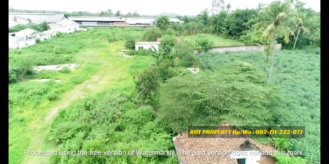 Dijual Tanah di Natar Lampung Selatan Luas 2 Ha Cocok Buat Pergudangan Dijual Tanah di Natar Lampung Selatan Luas 2 Ha Cocok Buat Pergudangan