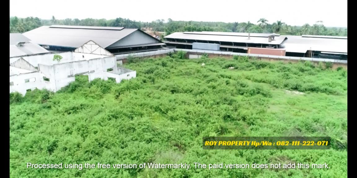 Termurah Dijual Tanah di Natar Lampung Selatan Luas 2 Ha Cocok Buat Pergudangan Termurah Dijual Tanah di Natar Lampung Selatan Luas 2 Ha Cocok Buat Pergudangan