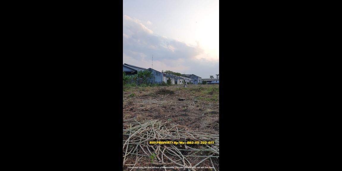 Termurah Dijual Tanah di Natar Lampung Selatan Luas 2 Ha Cocok Buat Pergudangan Termurah Dijual Tanah di Natar Lampung Selatan Luas 2 Ha Cocok Buat Pergudangan