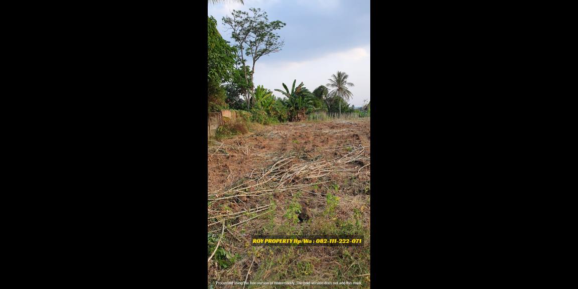 Termurah Dijual Tanah di Natar Lampung Selatan Luas 2 Ha Cocok Buat Pergudangan Termurah Dijual Tanah di Natar Lampung Selatan Luas 2 Ha Cocok Buat Pergudangan