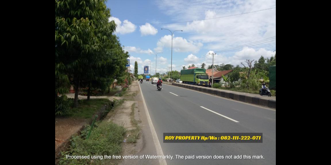 Dijual Tanah di Natar Lampung Selatan Luas 2 Ha Cocok Buat Pergudangan Dijual Tanah di Natar Lampung Selatan Luas 2 Ha Cocok Buat Pergudangan