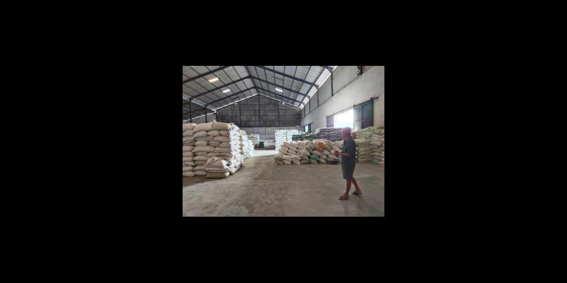 Dijual Pabrik di Jl. MH Thamrin, Jember Dijual Pabrik di Jl. MH Thamrin, Jember