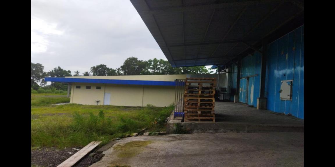 Dijual Pabrik di Jalan Poros Kauditan-Kema, Minahasa Utara Dijual Pabrik di Jalan Poros Kauditan-Kema, Minahasa Utara