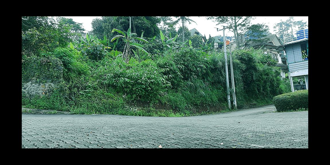 TANAH PADAT DI CIBURIAL-DAGO,BANDUNG TANAH PADAT DI CIBURIAL-DAGO,BANDUNG