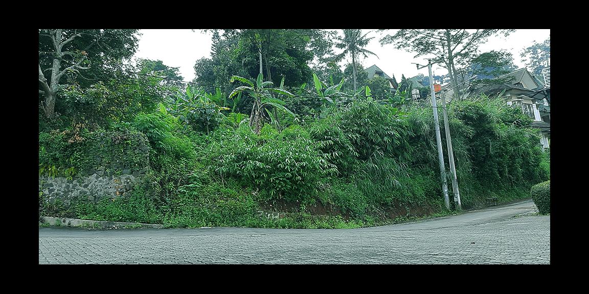 TANAH PADAT DI CIBURIAL-DAGO,BANDUNG TANAH PADAT DI CIBURIAL-DAGO,BANDUNG