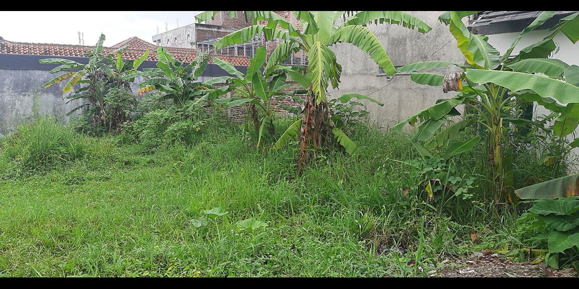 TANAH PADAT KAWASAN HUNIAN DI PANDAN WANGI, CIBIRU - BANDUNG TANAH PADAT KAWASAN HUNIAN DI PANDAN WANGI, CIBIRU - BANDUNG
