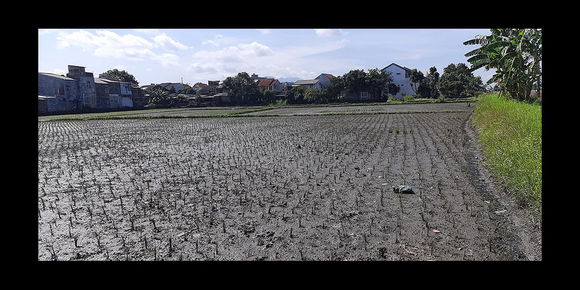 TANAH DI PANYILEUKAN BANDUNG TANAH DI PANYILEUKAN BANDUNG
