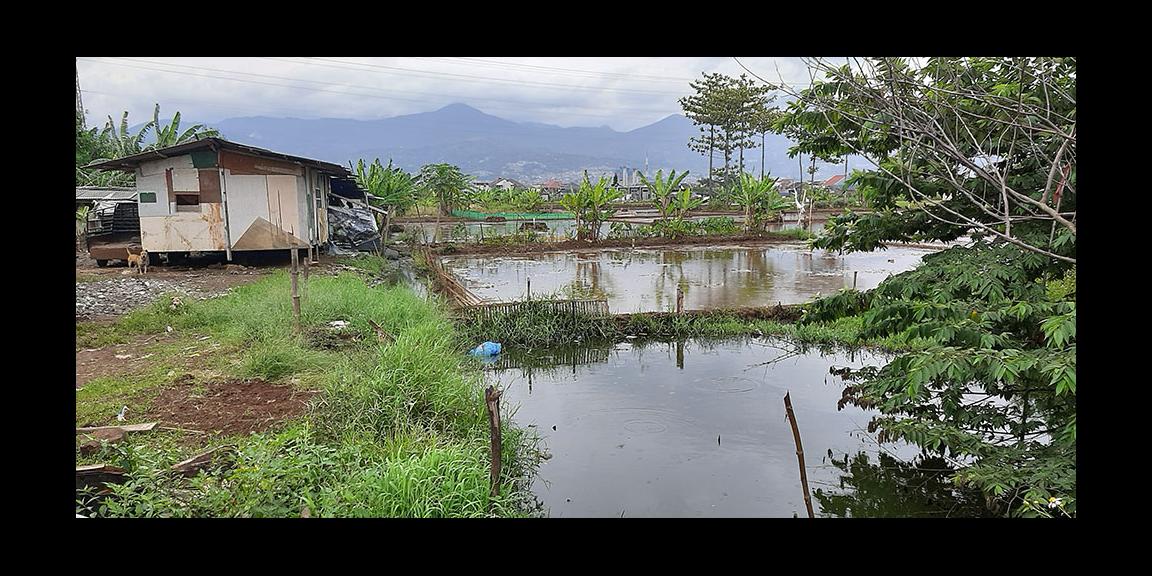TANAH MATANG PARAKANSAAT ARCAMANIK BANDUNG TANAH MATANG PARAKANSAAT ARCAMANIK BANDUNG