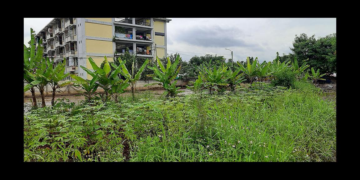 TANAH MATANG PARAKANSAAT ARCAMANIK BANDUNG TANAH MATANG PARAKANSAAT ARCAMANIK BANDUNG