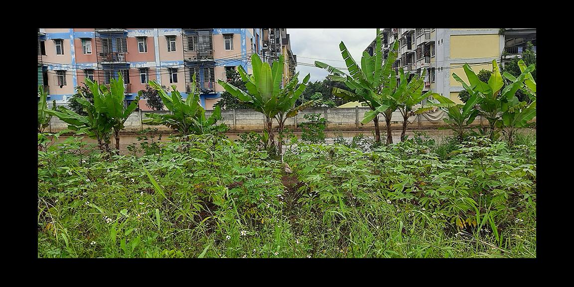 TANAH MATANG PARAKANSAAT ARCAMANIK BANDUNG TANAH MATANG PARAKANSAAT ARCAMANIK BANDUNG