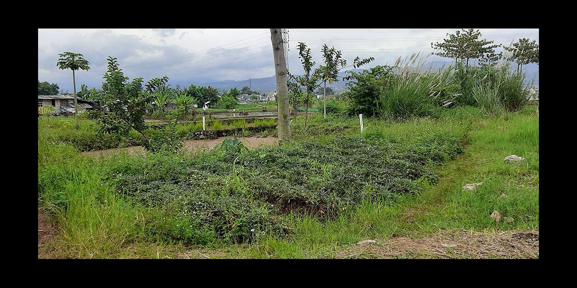 TANAH MATANG PARAKANSAAT ARCAMANIK BANDUNG TANAH MATANG PARAKANSAAT ARCAMANIK BANDUNG