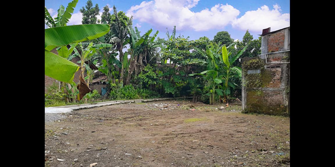 TANAH PEKARANGAN Selatan Lapangan Sepakbola Cepit Pendowoharjo TANAH PEKARANGAN Selatan Lapangan Sepakbola Cepit Pendowoharjo