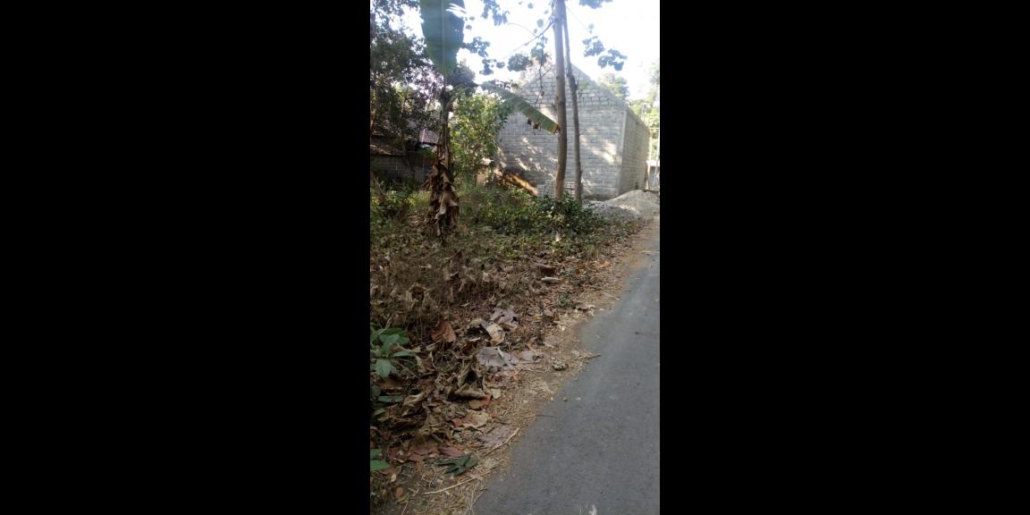 Tanah siap bangun Pengkol tanjungsari kota Blitar Tanah siap bangun Pengkol tanjungsari kota Blitar