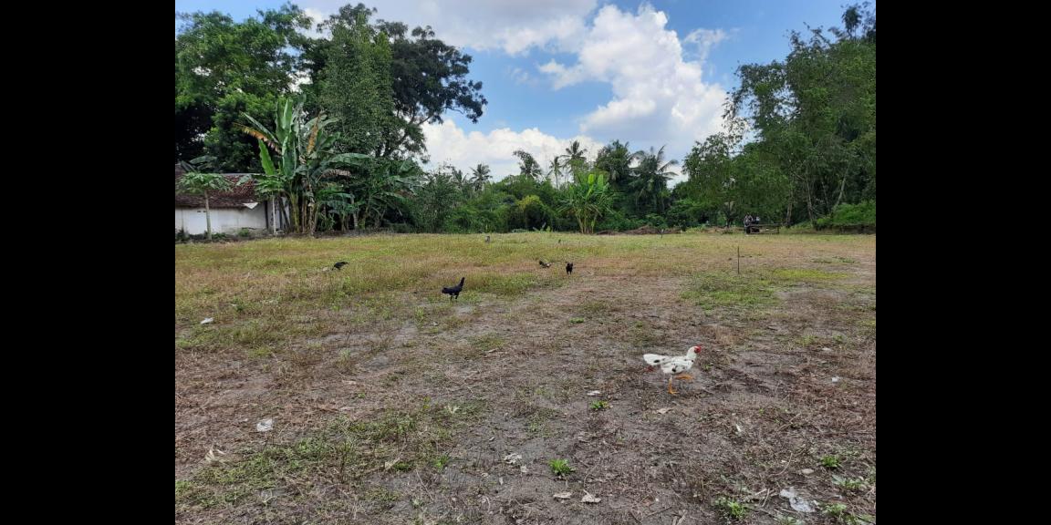 Perumahan Aranya Avenue Yogyakarta di Jalan Kaliurang km 10, dekat kampus UGM dan UII Perumahan Aranya Avenue Yogyakarta di Jalan Kaliurang km 10, dekat kampus UGM dan UII