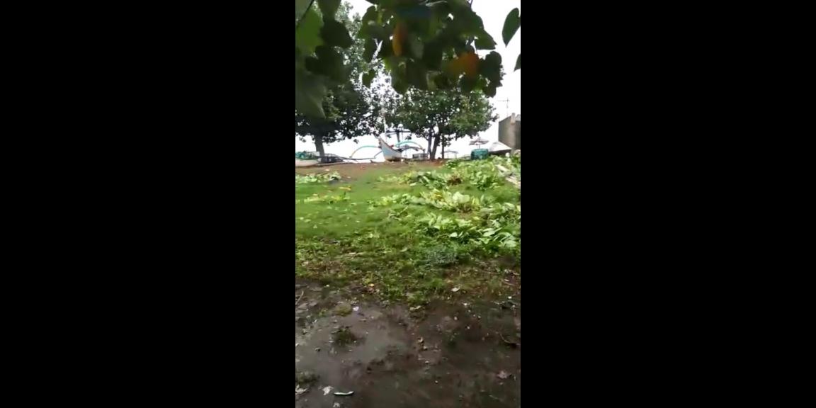 Dijual Tanah Pinggir Laut Pasir Putih Situbondo Dijual Tanah Pinggir Laut Pasir Putih Situbondo