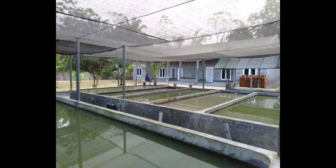 Beli Pasti Untung Beli Pasti Untung