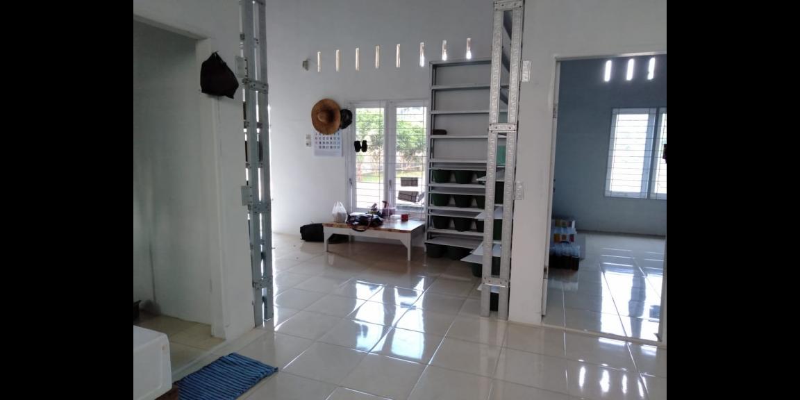 Beli Pasti Untung Beli Pasti Untung