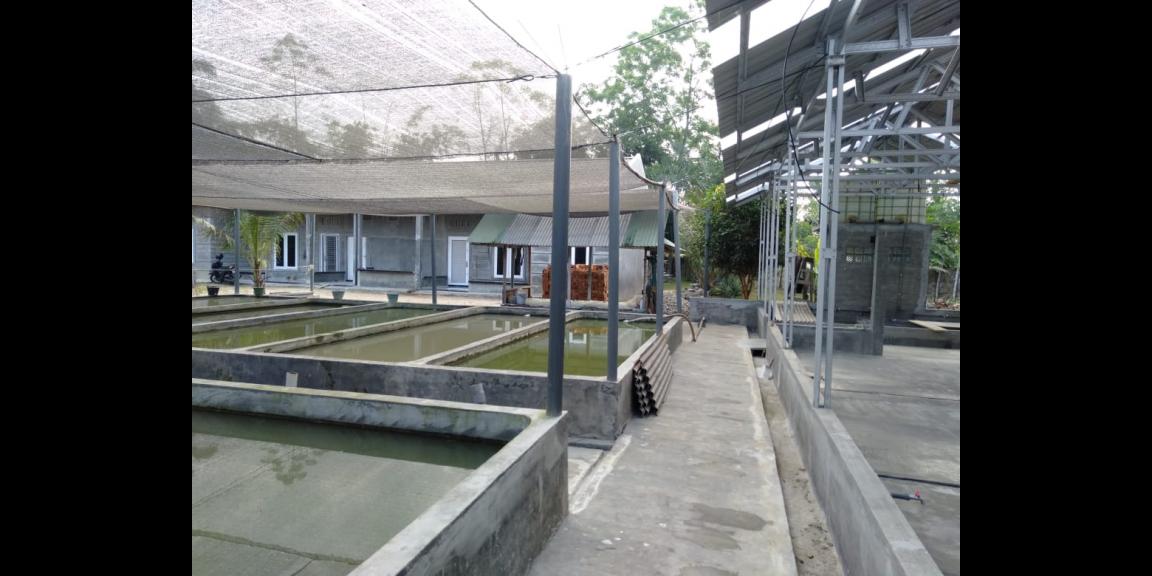 Beli Pasti Untung Beli Pasti Untung