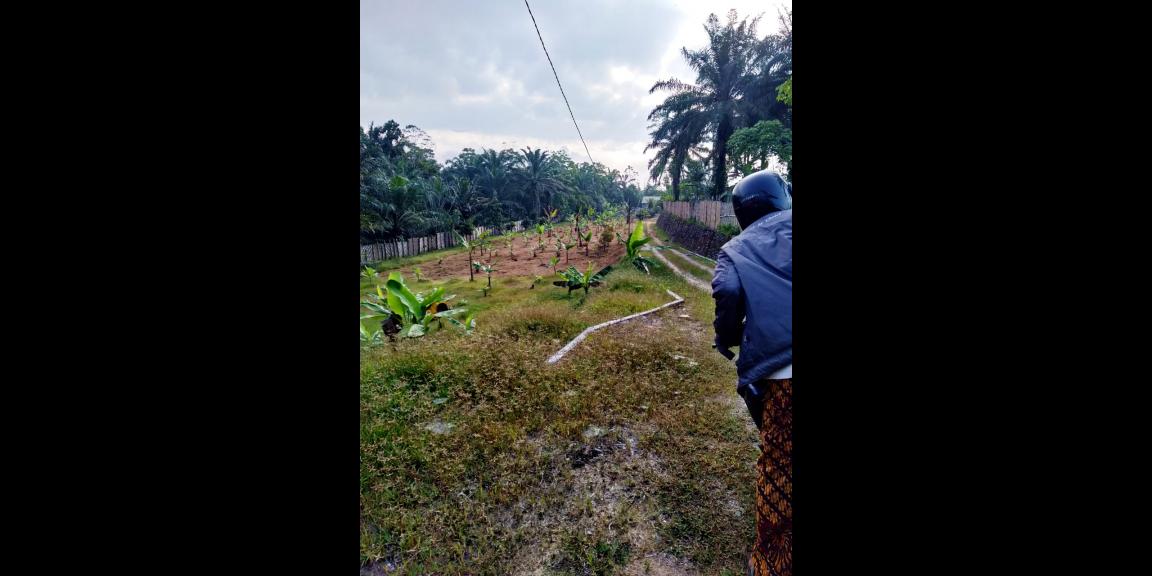 Beli Pasti Untung Beli Pasti Untung