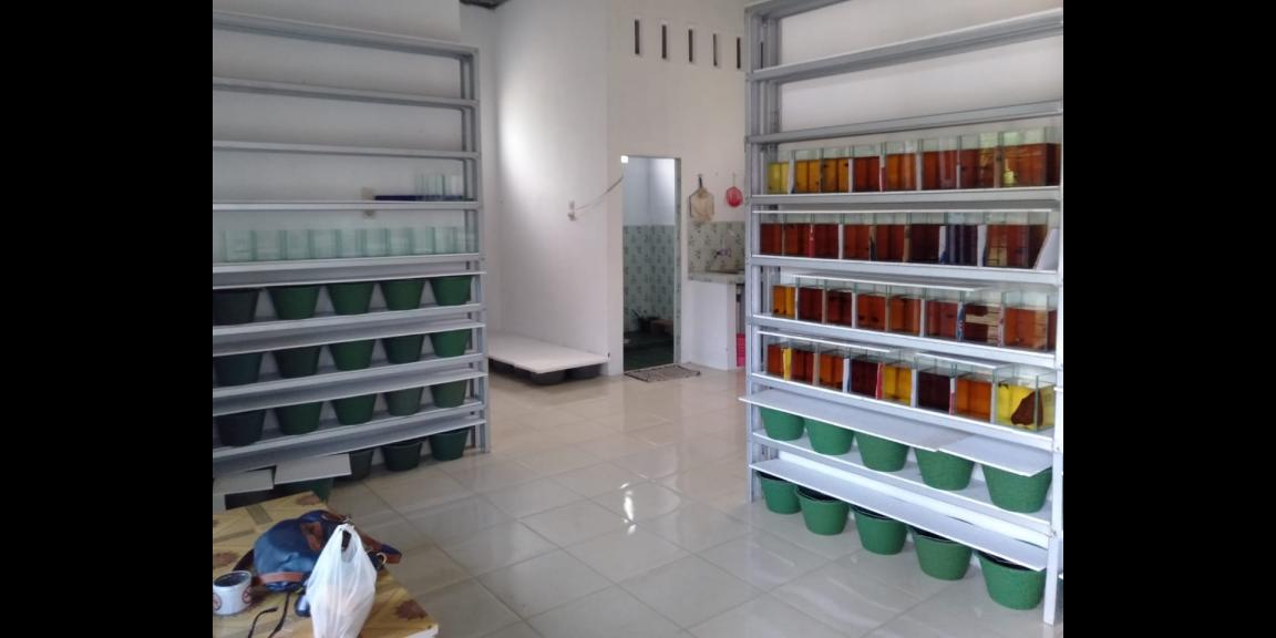 Beli Pasti Untung Beli Pasti Untung