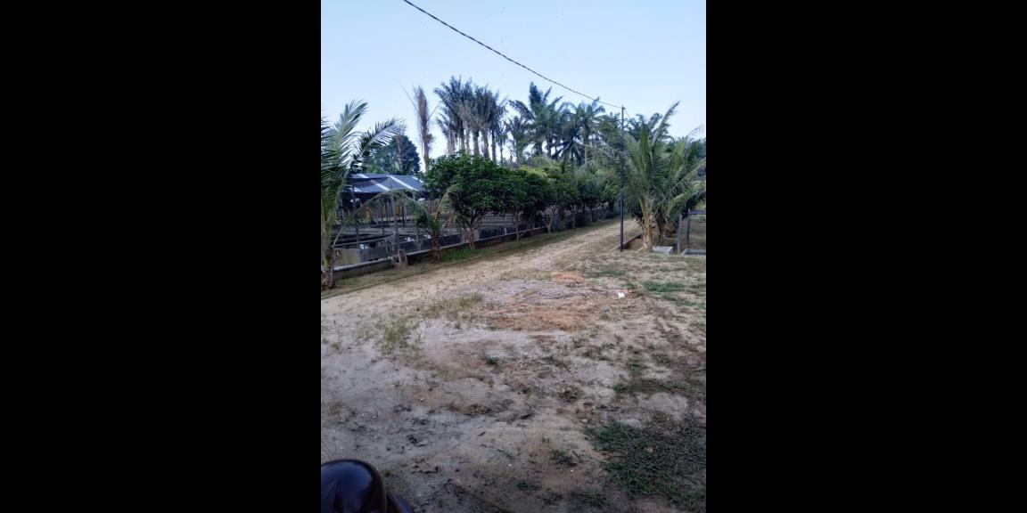 Beli Pasti Untung Beli Pasti Untung