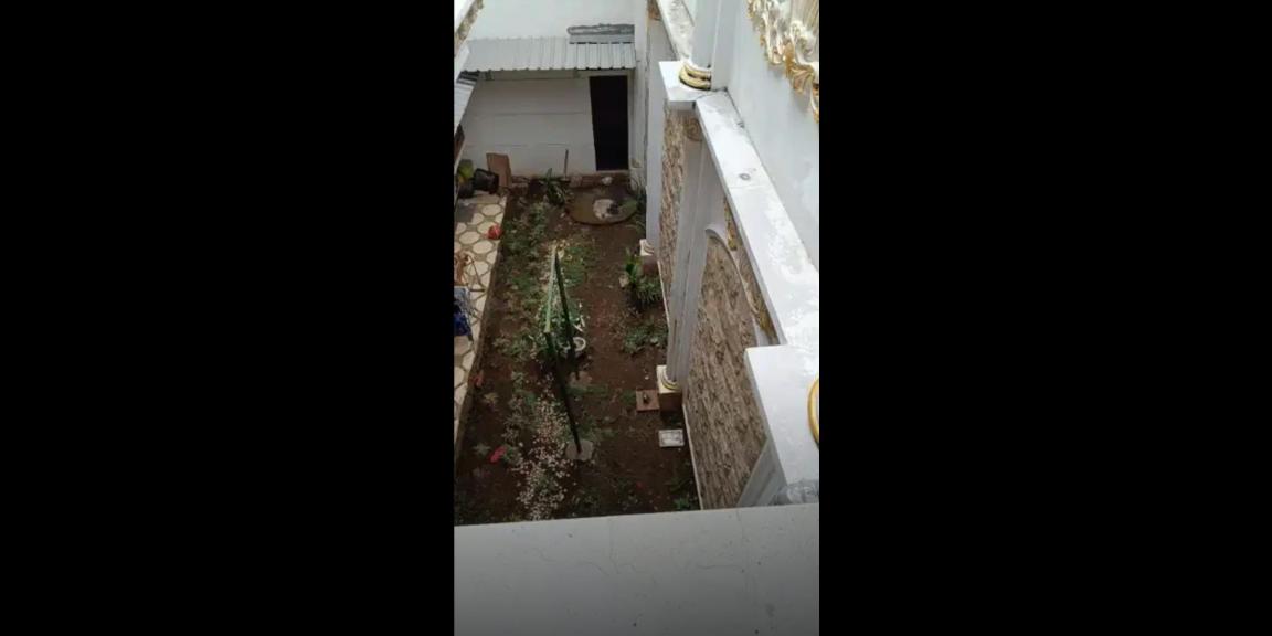 Rumah Classic Siap Huni di Perumahan Kebonsari Elveka Surabaya Selatan Rumah Classic Siap Huni di Perumahan Kebonsari Elveka Surabaya Selatan