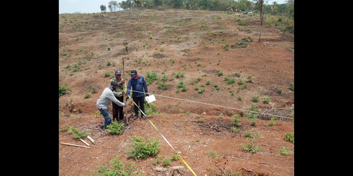 Kavling Produktif Taman Tahfidz Firdaus Kavling Produktif Taman Tahfidz Firdaus