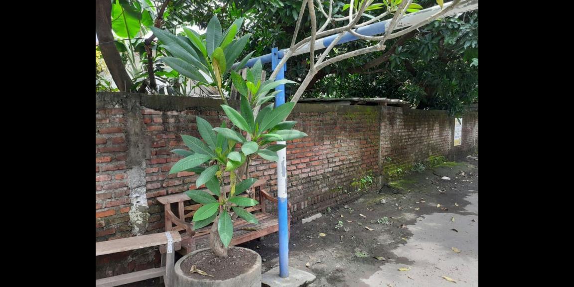 Dijual Rumah Hitung tanah taman pinang blok N Dijual Rumah Hitung tanah taman pinang blok N