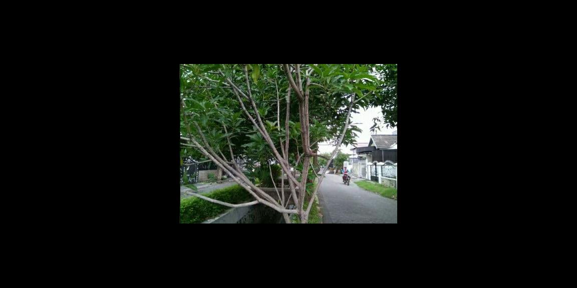 Dijual Rumah Puri Indah blok AK Sidoarjo Kota Dijual Rumah Puri Indah blok AK Sidoarjo Kota