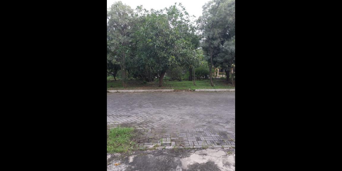 Rumah Siap Huni Lokasi Raya Kutisari Indah Surabaya Rumah Siap Huni Lokasi Raya Kutisari Indah Surabaya